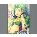 「四式戦帝女 緑姫」ウィクロス10thアニバーサリーコインカード