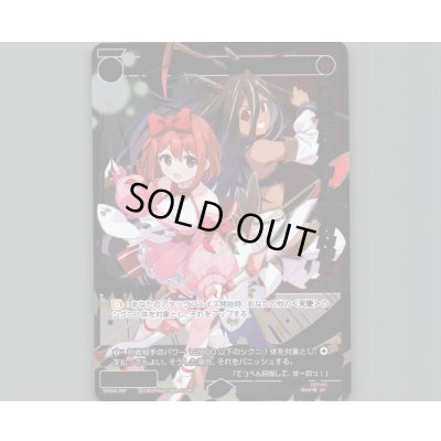 画像1: 紅天　セト(パラ)