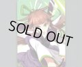 「戦慄の旋律 アン＝フォース」ウィクロス10thアニバーサリーコインカード