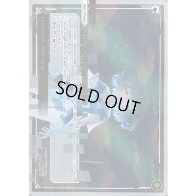 画像1: Unknown Memory (January & February 2025)