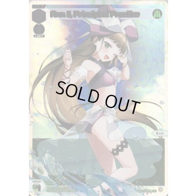 画像1: Ann II, Principled Practice (LR)