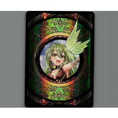 画像1: コインカード(メル＝チアーズ) LRP仕様