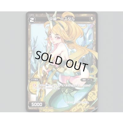 画像1: 中槍 ハスタル