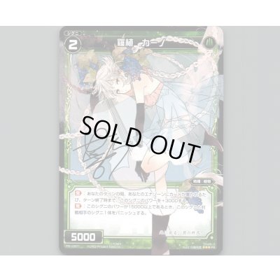 画像1: 羅植 カーノ