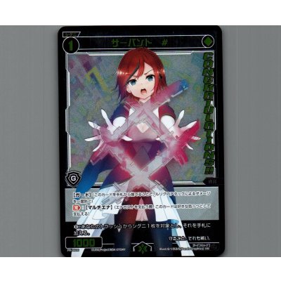 画像1: サーバント #