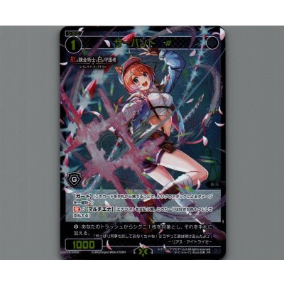 画像1: サーバント　#