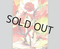 「轟炎 花代・爾改」ウィクロス10thアニバーサリーコインカード