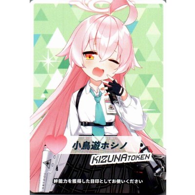 画像1: 総力戦コイン(小鳥遊ホシノ)