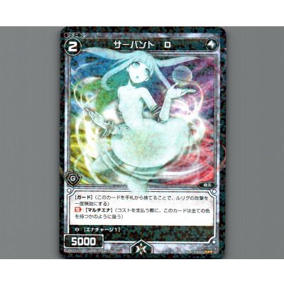画像1: サーバント D
