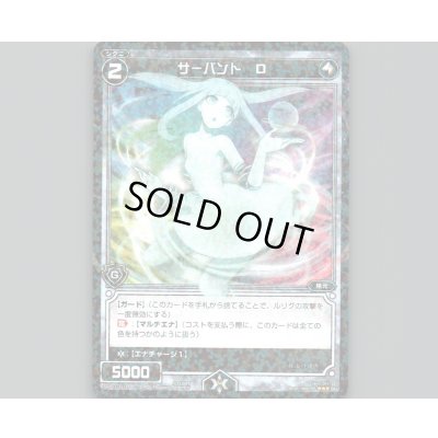 画像1: サーバント D