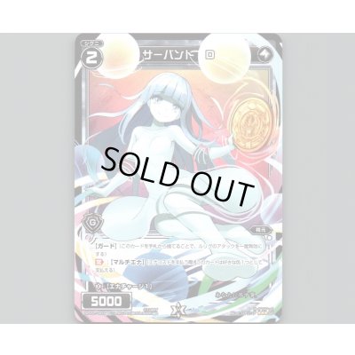 画像1: サーバント D