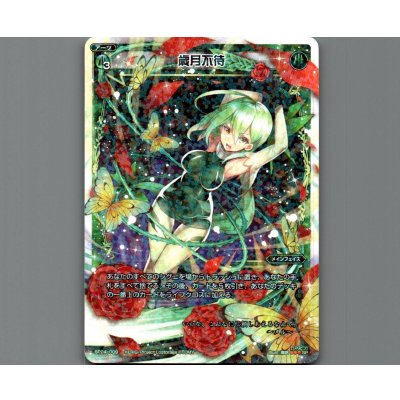 画像1: 歳月不待