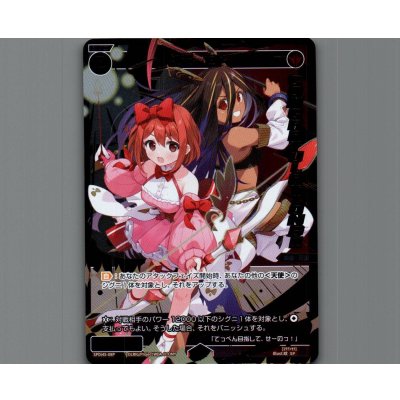 画像1: 紅天　セト(パラ)