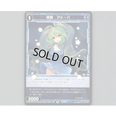 画像1: 羅菌 アメーバ