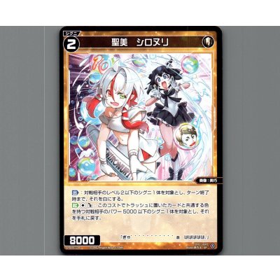 画像1: 聖美　シロヌリ