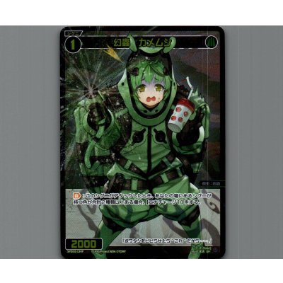 画像1: 幻蟲　カメムシ(パラ)