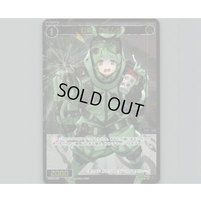 画像1: 幻蟲 カメムシ(パラ)