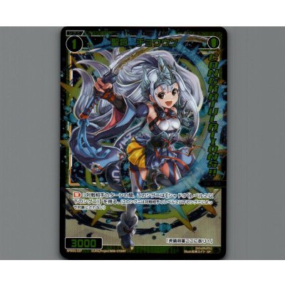 画像1: 聖将 チョウウン(パラ)