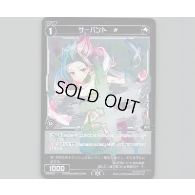 画像1: サーバント #