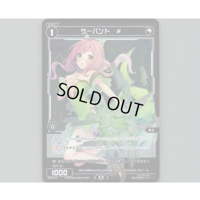 画像1: サーバント #