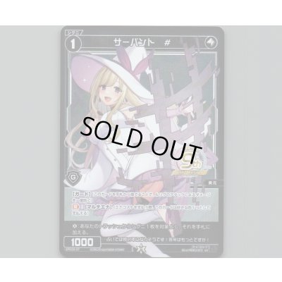 画像1: サーバント #