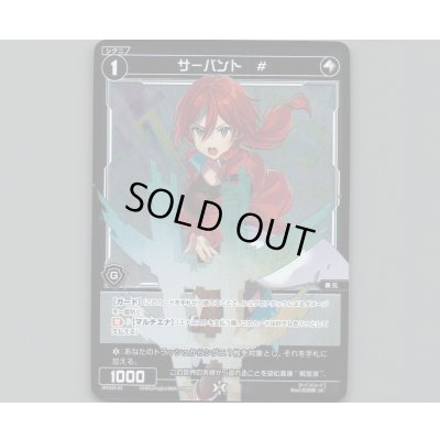 画像1: サーバント #