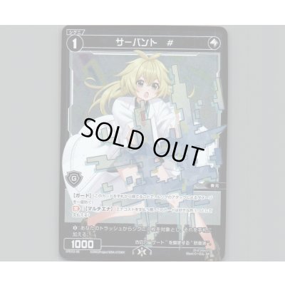 画像1: サーバント #