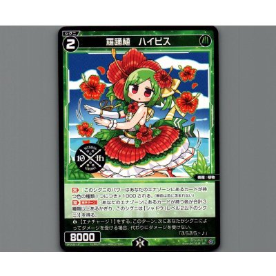 画像1: 羅踊植 ハイビス
