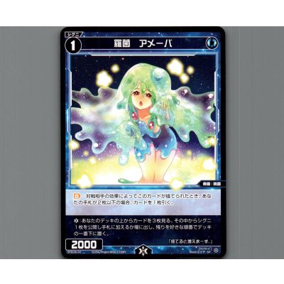 画像1: 羅菌　アメーバ
