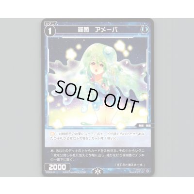 画像1: 羅菌　アメーバ