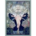 「夢限　-Ｅ-」スリーブ WXK-P03 BOX封入プロテクト 10枚入り