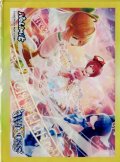 「Heaven's Door」スリーブ WXDi-P02 BOX封入プロテクト 10枚入り