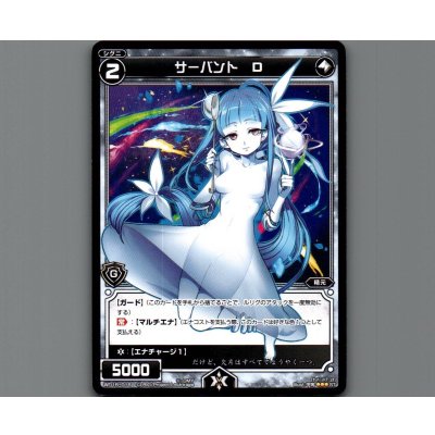 画像1: サーバント D