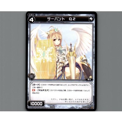 画像1: サーバント Q2