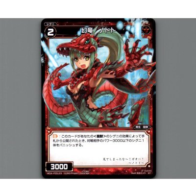 画像1: 幻竜 ノトト