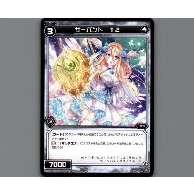 画像1: サーバント T2
