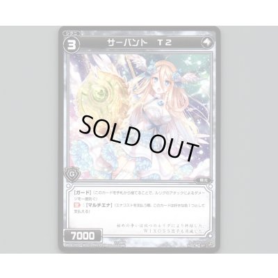 画像1: サーバント T2