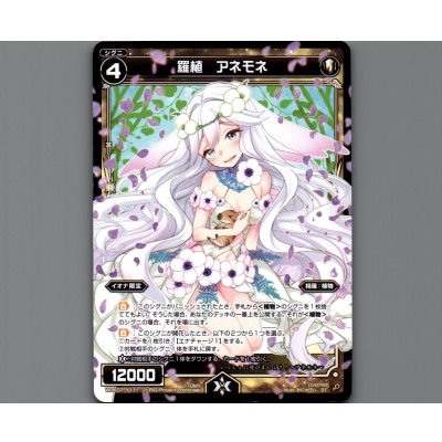 画像1: 羅植 アネモネ