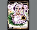 羅植 パンジー
