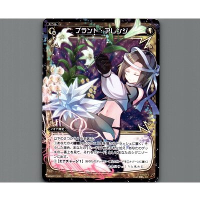 画像1: プラント・アレンジ