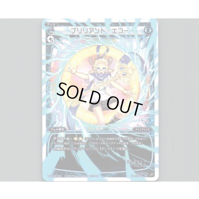 画像1: ブリリアント・エコー