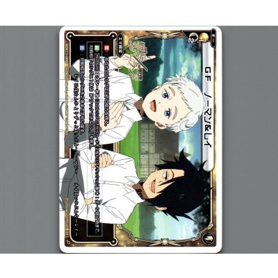 画像1: GF ノーマン&レイ