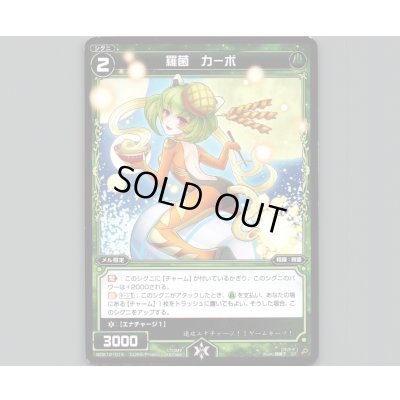 画像1: 羅菌 カーボ