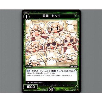 画像1: 羅菌 センイ