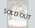 忘得ぬ幻想 ヴァルキリー