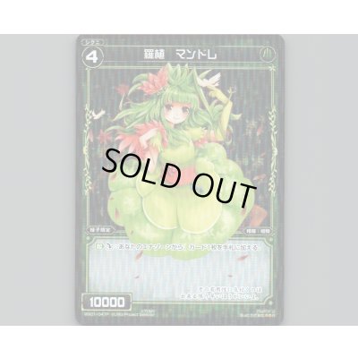 画像1: 羅植 マンドレ(パラ)