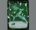 大化(パラ)