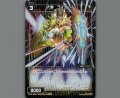 大盾 ライオット(パラ)