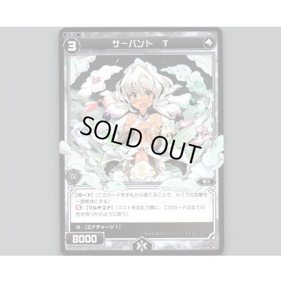 画像1: サーバント T