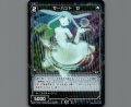 サーバント D(パラ)